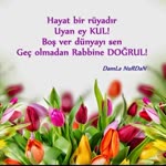 Damla