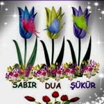 Ekin