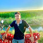 Halil