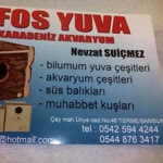 Nevzat