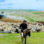 İsmail