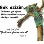 Mutlu