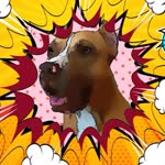 Kadir