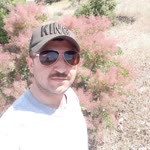 Yunus