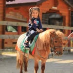 Cansu