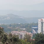 Avni