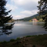 Özge
