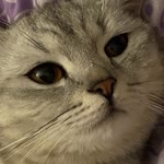 Esmira