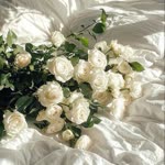 Nur