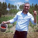 Hamdi
