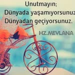Sevgi