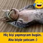 Serkan