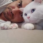 Özgür
