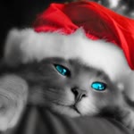 Furkan