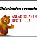 N. Dilek