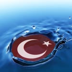 Sezgin
