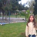 Gül