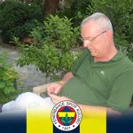 Serdar
