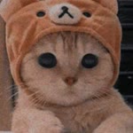 Nur