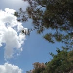 Remziye