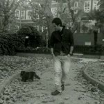 Veysel