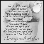 Remzi