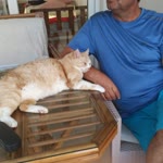 Mustafa