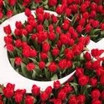 Onur