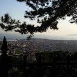 Şeyma