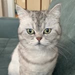 Lida