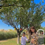 Şule