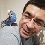 Kemal