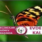 Hatice