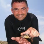 Umut