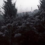 Nurcan