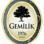 Gemilik