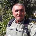 Sedat