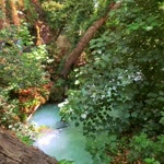 Gülizar