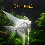 Dr.