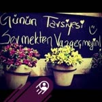 Ayşegül