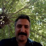 Tayfun
