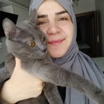 Şehval