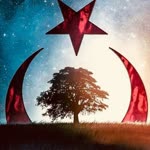 Sedat