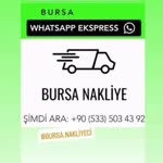 Bursa