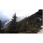 Kerim