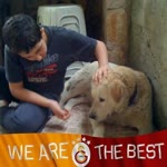 Emir
