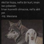 Seher
