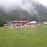 Serdar