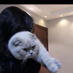 İrem