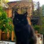 Fatoş